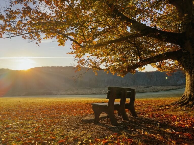 Mindful breaks you can take in five minutes